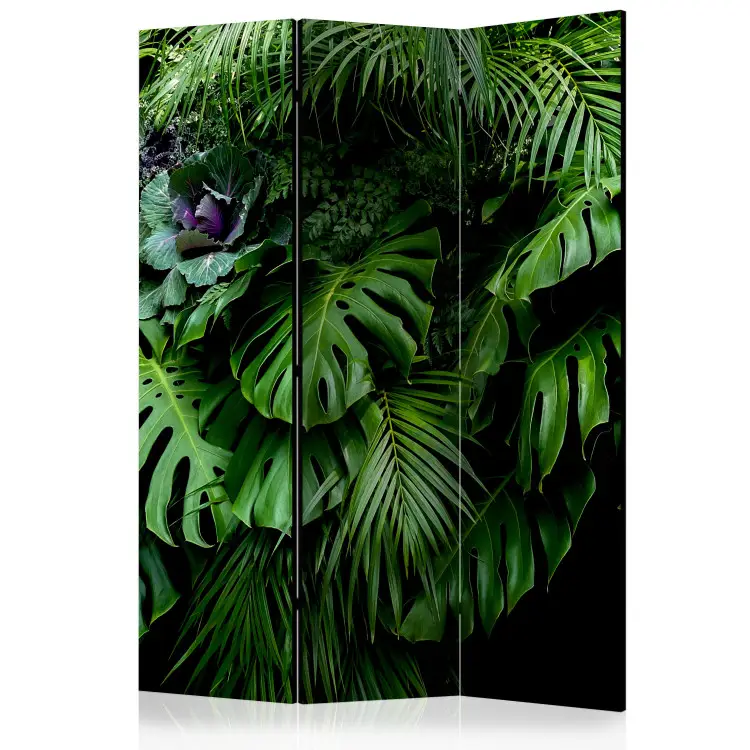 Florestas Tropicais - paisagem de folhas tropicais de monstera contra um cenário de selva