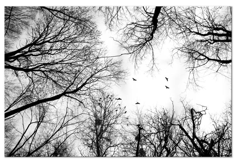 Quadro em tela Céu de Pássaros de Inverno (1 peça) - Paisagem em Preto e Branco da Natureza