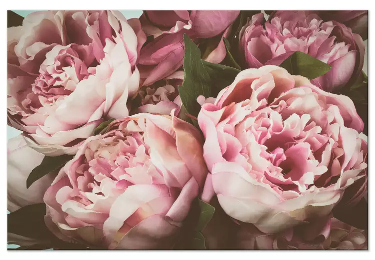 Buquê de Flores Pastel (1 peça) - Peônias em Tons de Rosa