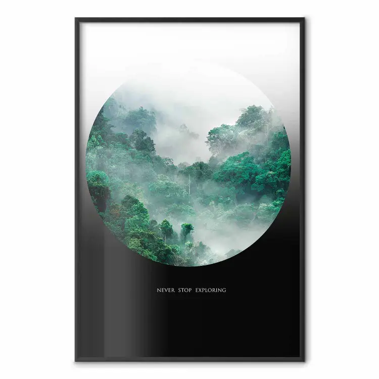 Nunca pare de explorar - paisagem de árvores de floresta no meio da neblina e texto branco