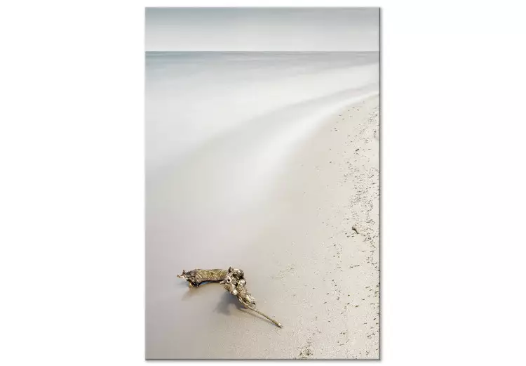 Costa escandinava - mar calmo e areia fina na praia