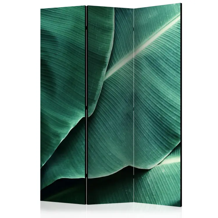 Folhas de Bananeira - textura de folhas verdes com muitos detalhes