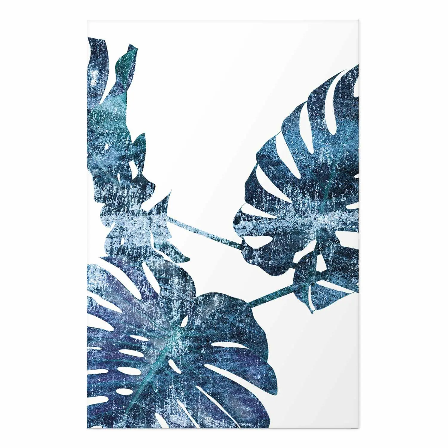 philodendron splendid kaufen Philodendron Splendid  Foliage Dreams