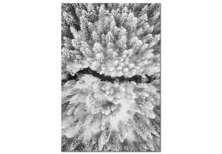 Vista aérea da floresta invernal - paisagem invernal a preto e branco