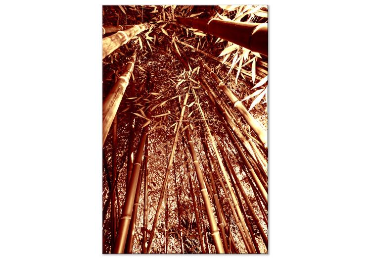 Quadro em tela Floresta de bambu em sépia - foto de natureza exótica com árvores