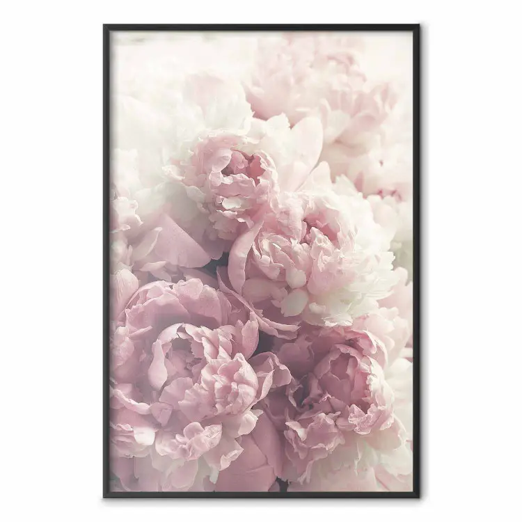 Peônias Delicadas - paisagem de um campo com flores brancas e rosas