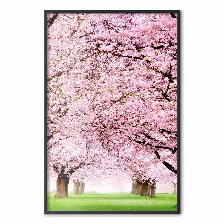 Pomar de Cerejeiras - paisagem de grama verde e árvores com folhas rosa