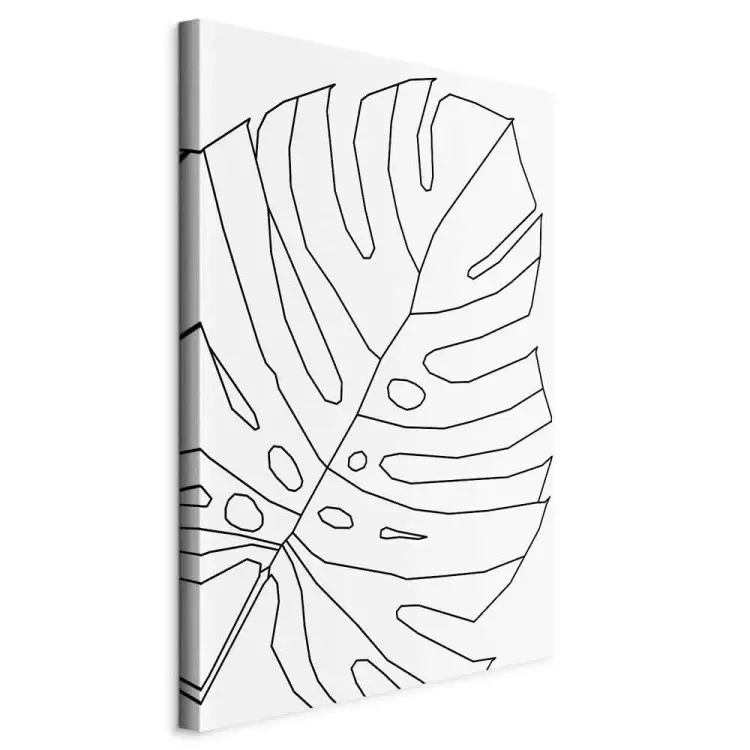 Esboços negros de uma folha de monstera - resumo sobre fundo branco