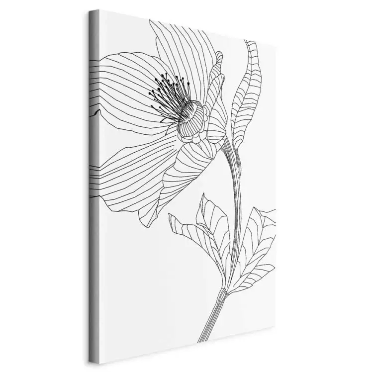 Flor desenhada - esboços de plantas a preto e branco, arte da linha