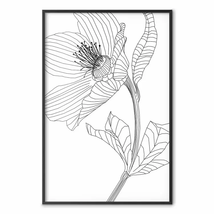 Esboço de Primavera - arte linear abstrata de planta em fundo branco