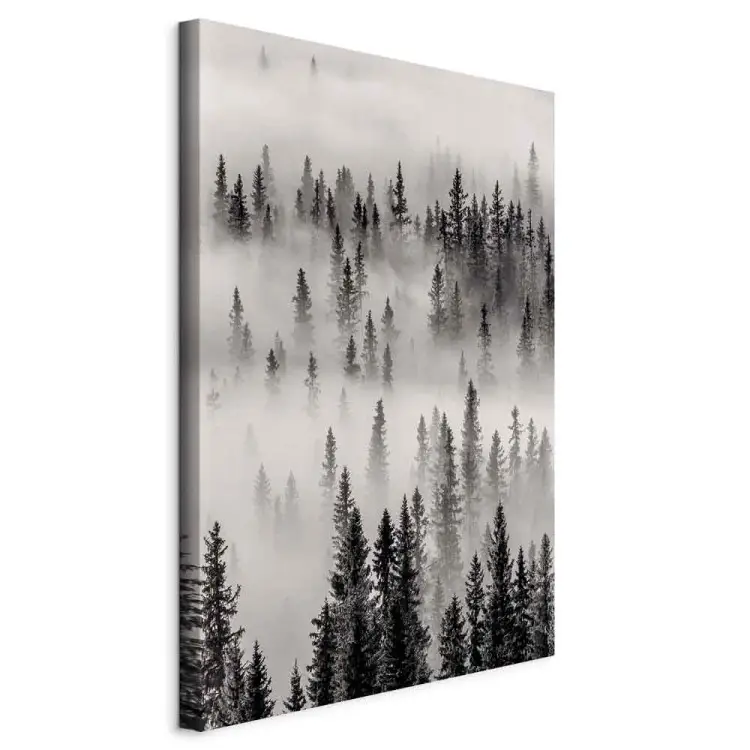 Ninho Vertical - paisagem de floresta escura e nebulosa
