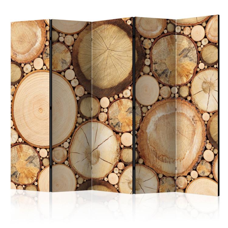 Biombo Wood grains II [Room Dividers]