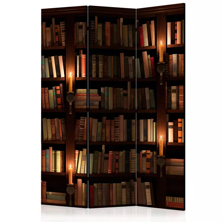 Estantes de Livros (3 peças) - composição com uma estante de madeira