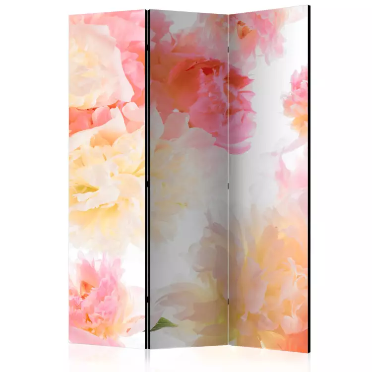 Peônias Pastel - buquê de flores rosa e amarelas em um fundo branco
