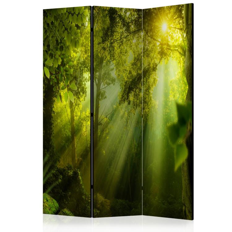 Biombo  In a Secret Forest II [Room Dividers]