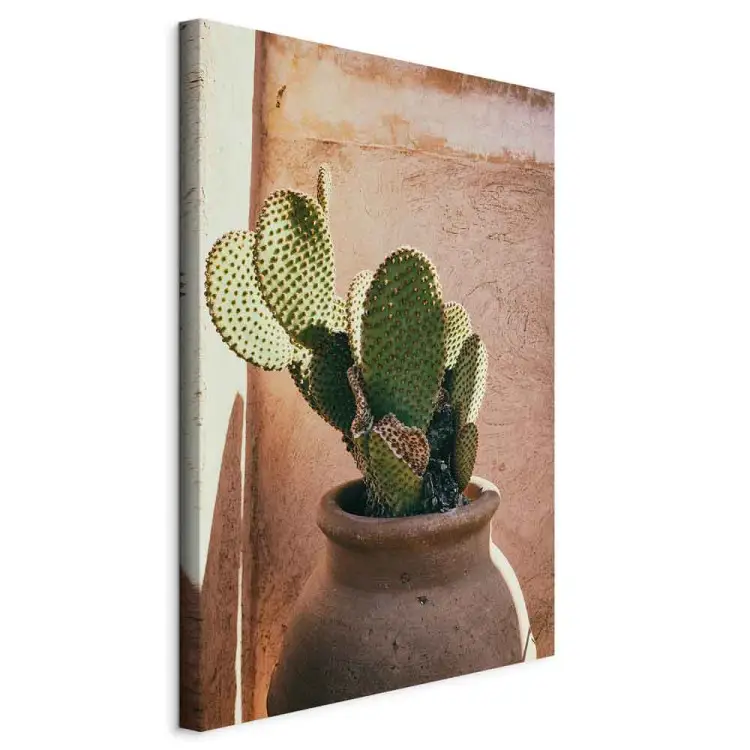 Cacto em um Vaso Vertical - planta verde em Marrocos