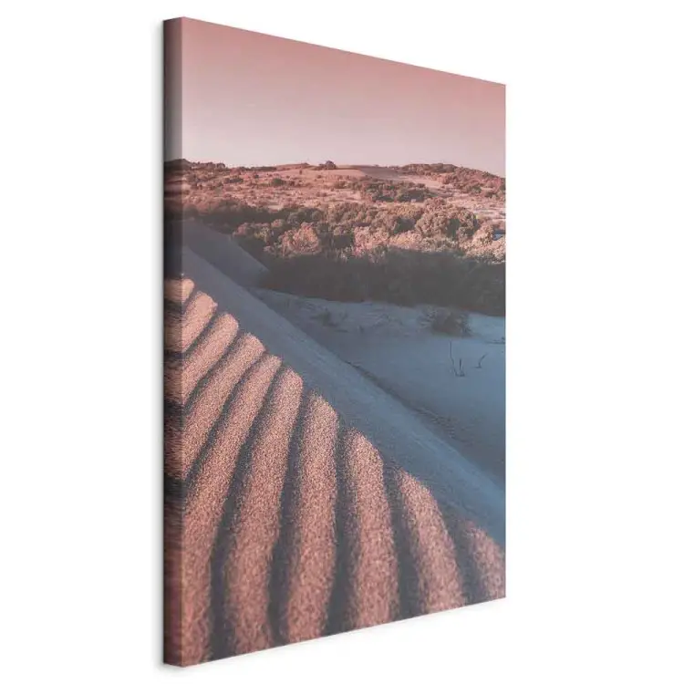 Areias Rosadas Vertical - paisagem do deserto árabe