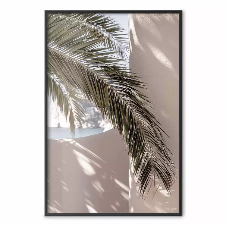 Terraço com Vista - composição natural de palmeira contra uma parede clara
