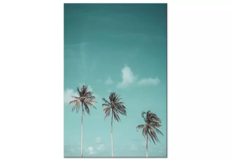Três palmeiras - imagem de três árvores contra o céu azul