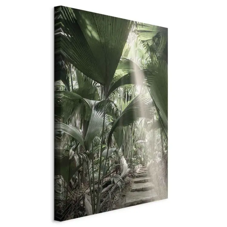 Feixe de Luz Vertical - paisagem de vegetação tropical