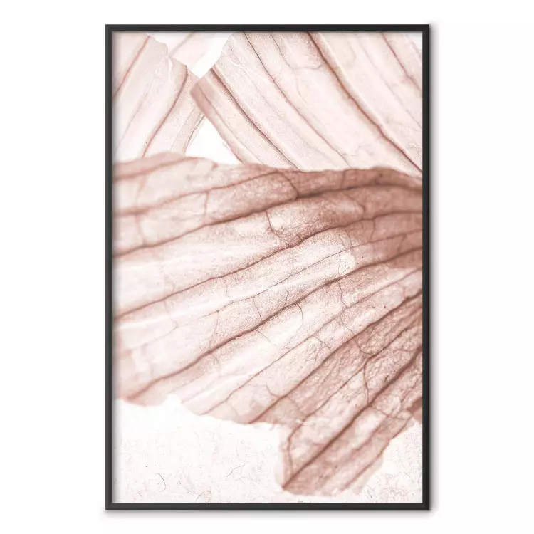 Luz Alada - textura abstrata de madeira clara