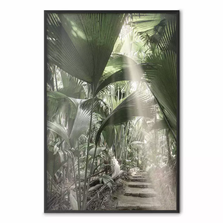 Raio de Luz - composição tropical de floresta verde na luz do sol