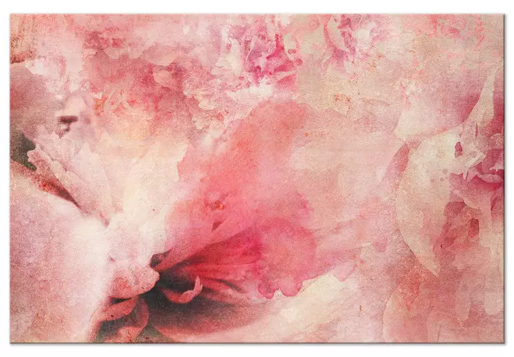 Nascer do sol cor-de-rosa - fragmentos de flores e rosa desfocado