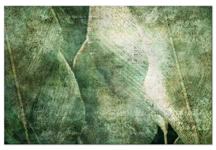 Folhas grandes - imagem esfregada de folhas de uma planta exótica