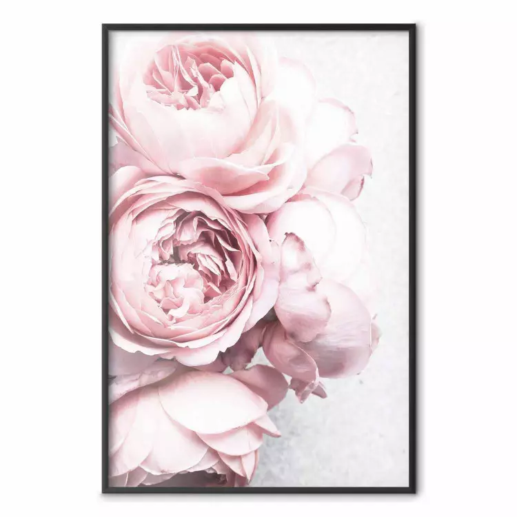 Aroma Rosado - composição romântica de flores rosas em um fundo claro