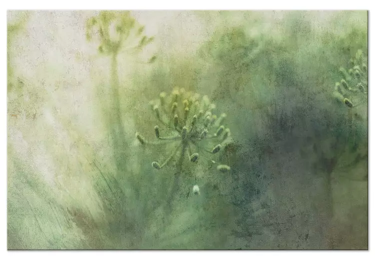 Que flores na névoa - gráfico com plantas verdes selvagens