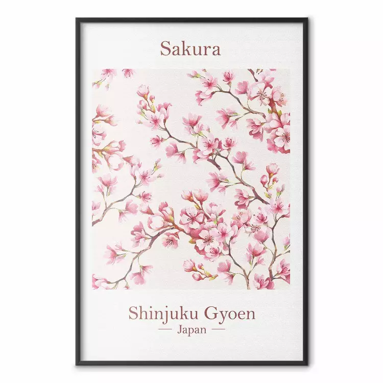 Sakura - texto em inglês e japonês com flor rosa