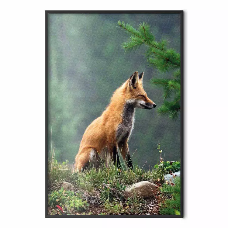 Caçador Vermelho - animal selvagem majestoso em meio a uma floresta em segundo plano