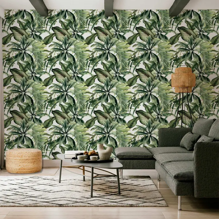 Leques de plantas