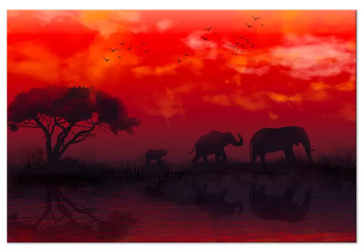 Paisagem Africana (1 peça) Largo - elefantes e céu vermelho