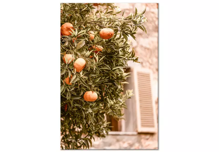 Frutas Urbanas (1 peça) - árvore de tangerina em frente a um edifício