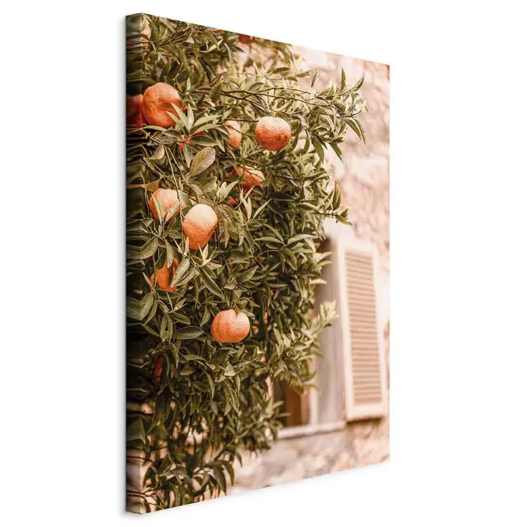 Frutas Urbanas - árvore de tangerina em frente a um edifício