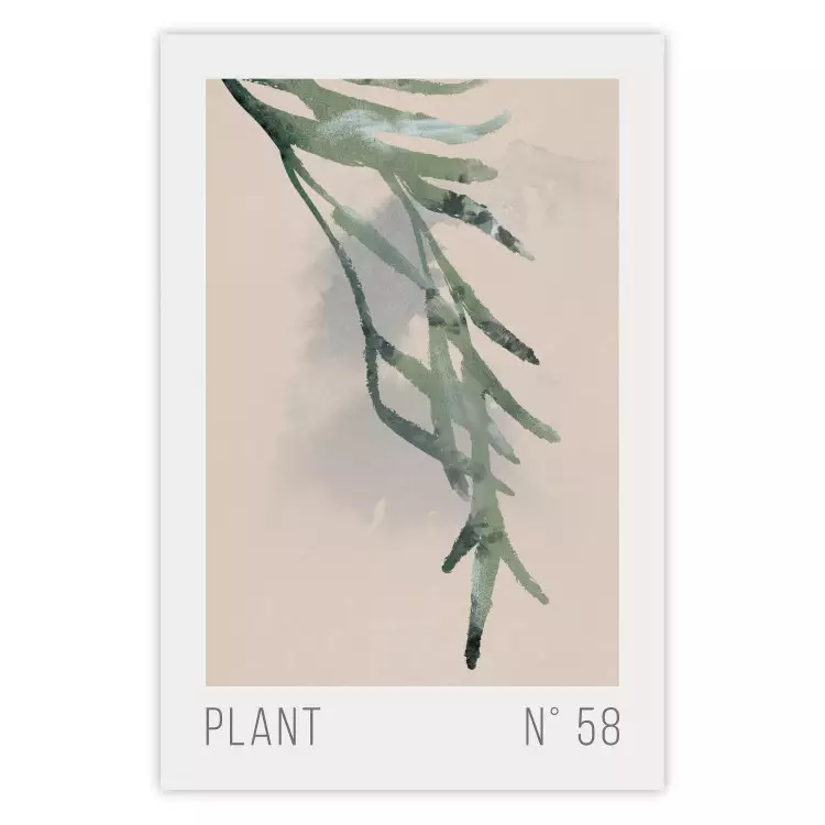 Planta número 58