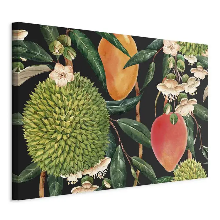 Frutas Exóticas - plantas tropicais em um fundo preto