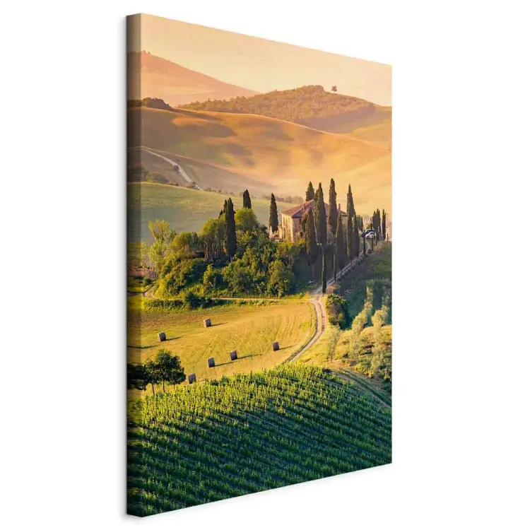 Campos ensolarados da Toscana - fotografia de paisagem ao pôr do sol