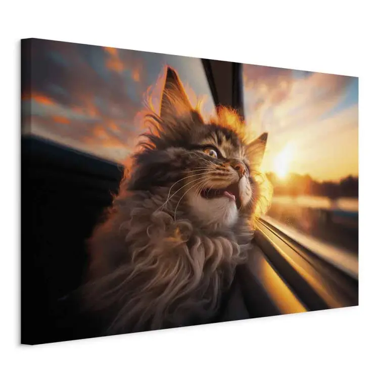 AI gato maine coon - animal de estimação numa viagem em direção ao pôr do sol - horizontal