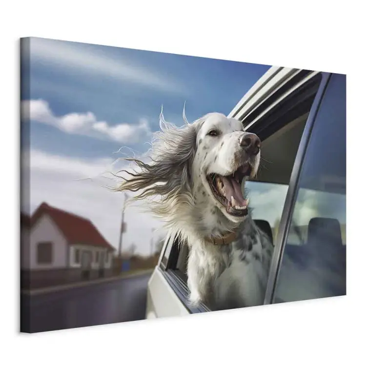 AI cão setter inglês - animal de estimação a apanhar uma lufada de ar enquanto viaja num carro - horizontal