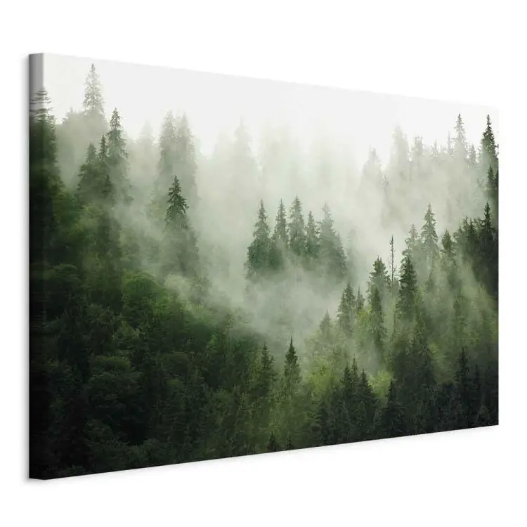 Floresta de montanha - vista de árvores coníferas verdes cobertas de nevoeiro