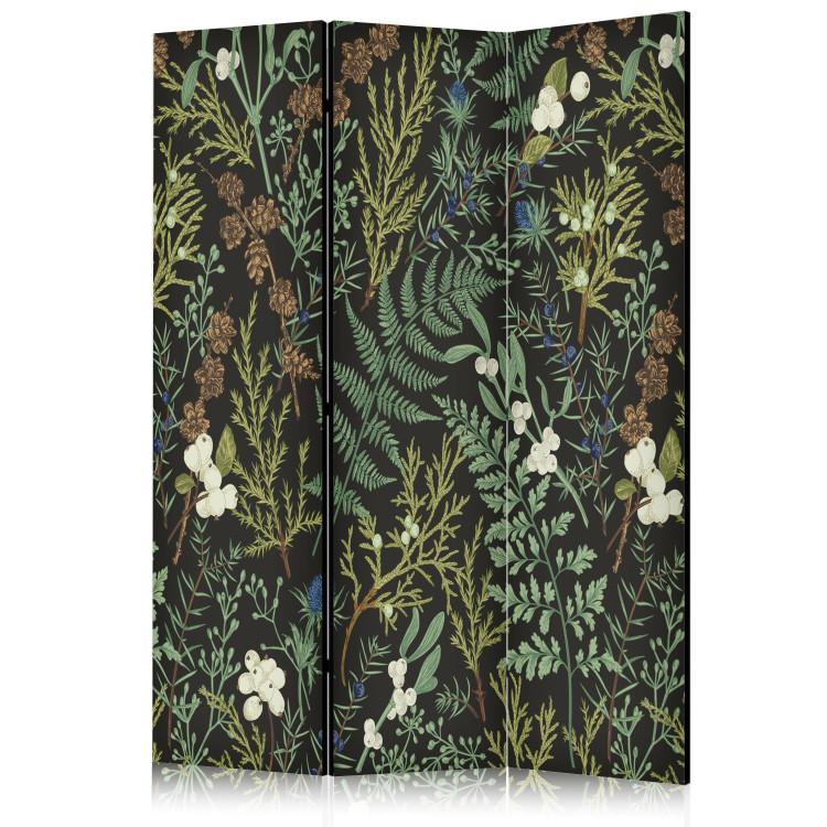 Biombo Botanical Pattern - Numerous Species of Leaves on a Graphite Background [Room Dividers]