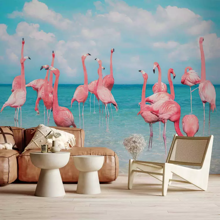 Bando de flamingos - aves cor-de-rosa em águas cristalinas