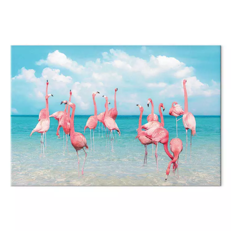 Flamingos tropicais - aves em águas límpidas sob um céu azul