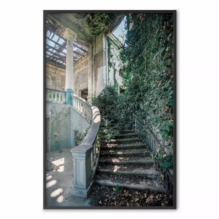 Escadaria coberta de vegetação - uma escadaria abandonada no meio de vegetação