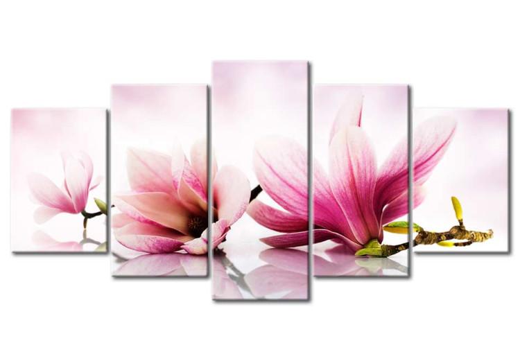 Quadro em tela Magnolias: pink flowers