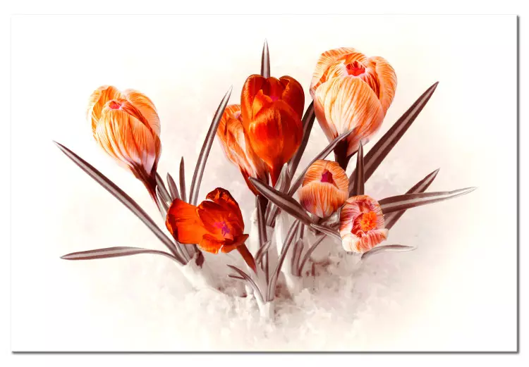 Crocus Vermelhos (1 peça) - Buquê Romântico de Flores de Primavera