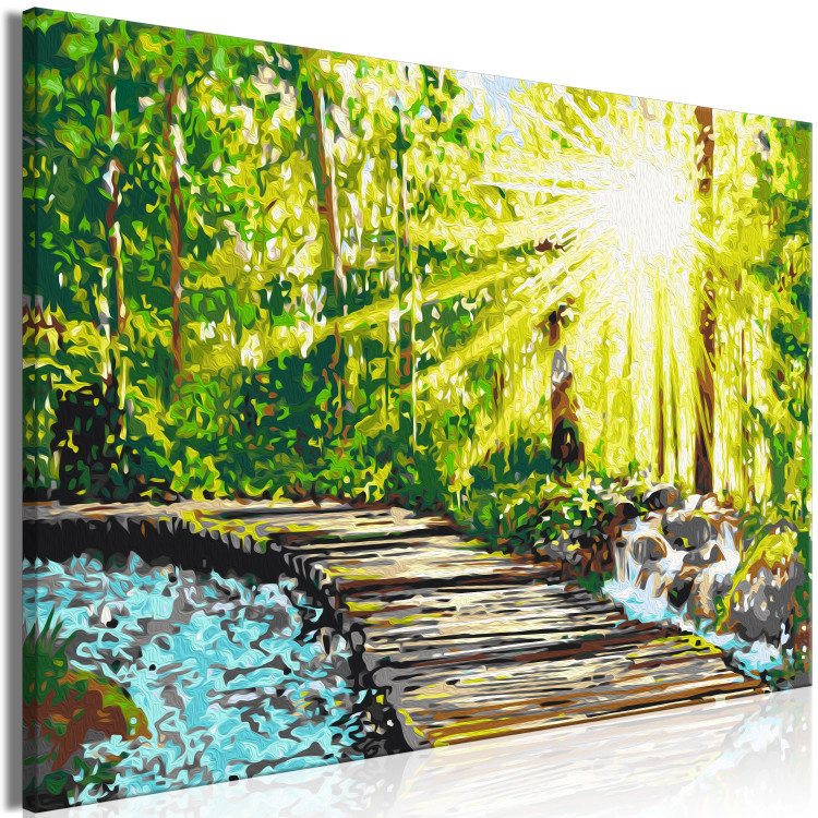 Desenho para pintar com números Walk in the Forest - Wooden Path Among Trees and a Stream 148880 additionalImage 5