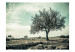 Mural de parede Árvore vintage - paisagem rural com árvore em um campo com céu em sépia 59911 additionalThumb 1